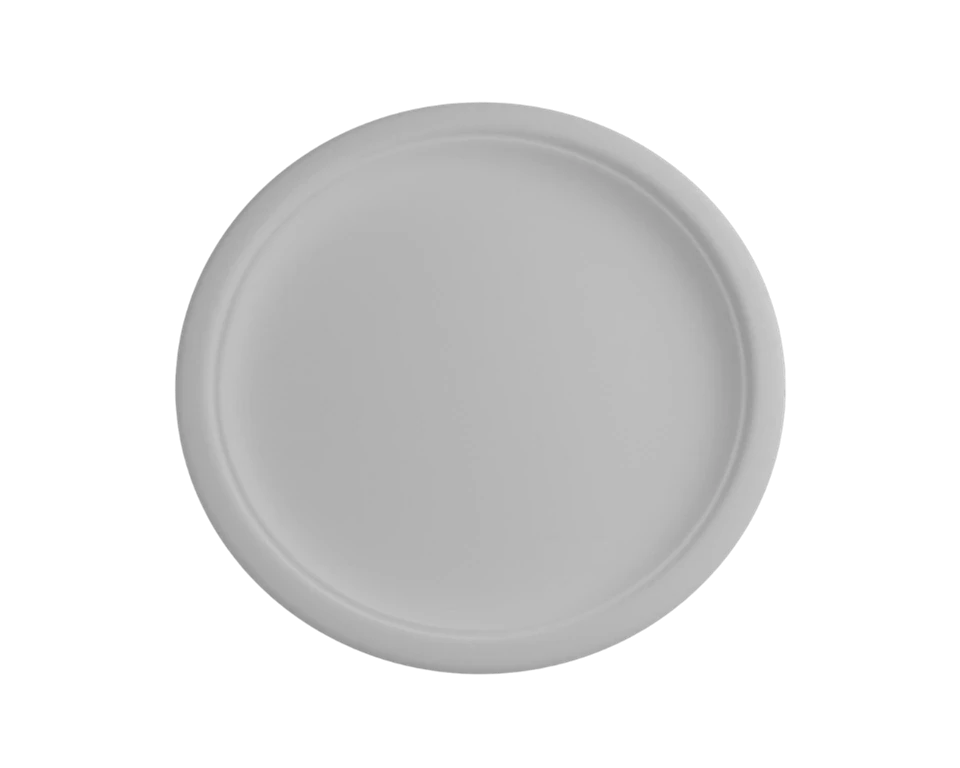 Eco Friendly Biodegradable Plates price